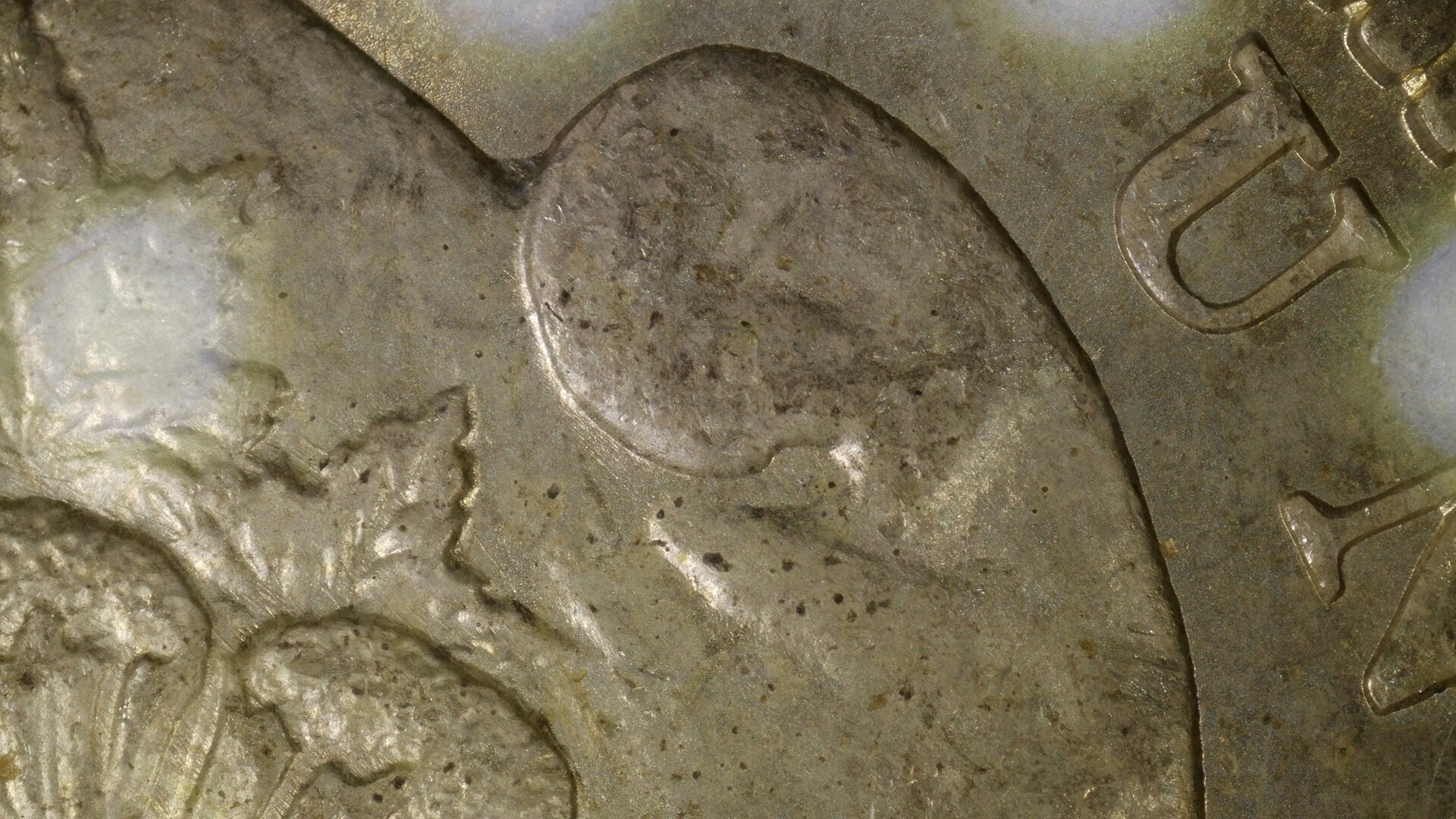 1901-O Obv 52MP Cap Curl Resized.jpg