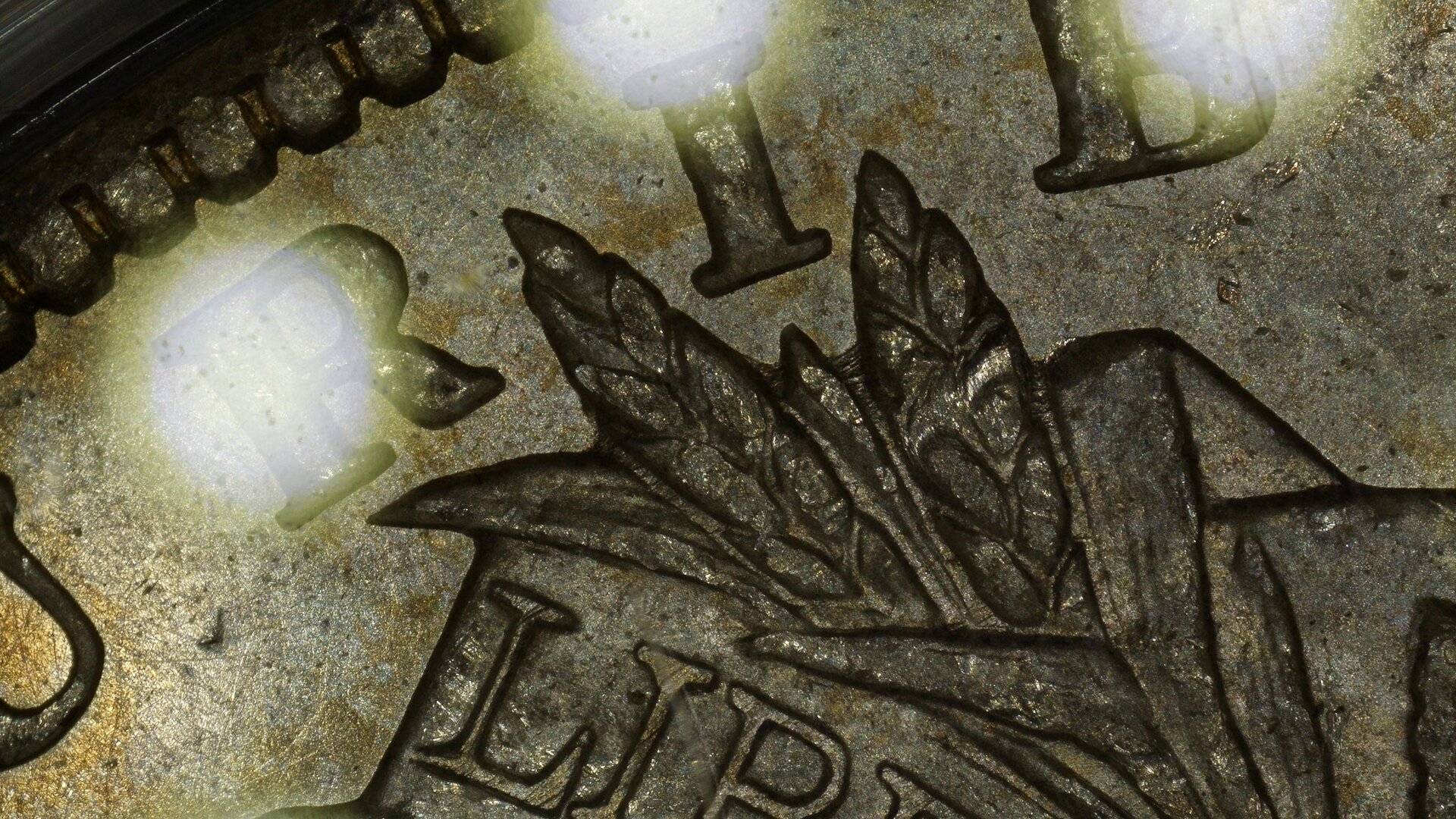 1901-O Obv 52MP Wheat Polishing Lines Resized.jpg