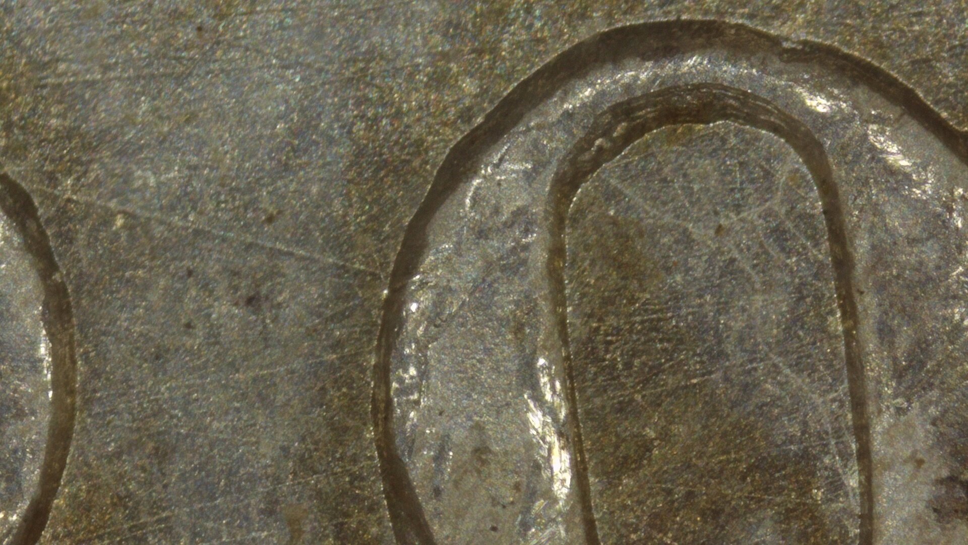 1901-O Rev 52MP DO Zoomed(2) Resized.jpg