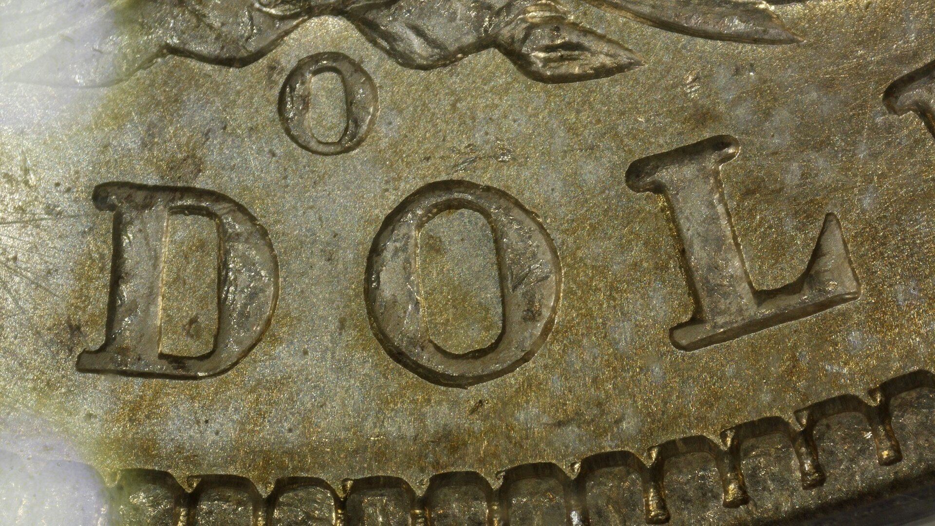 1901-O Rev 52MP DOL Resized.jpg