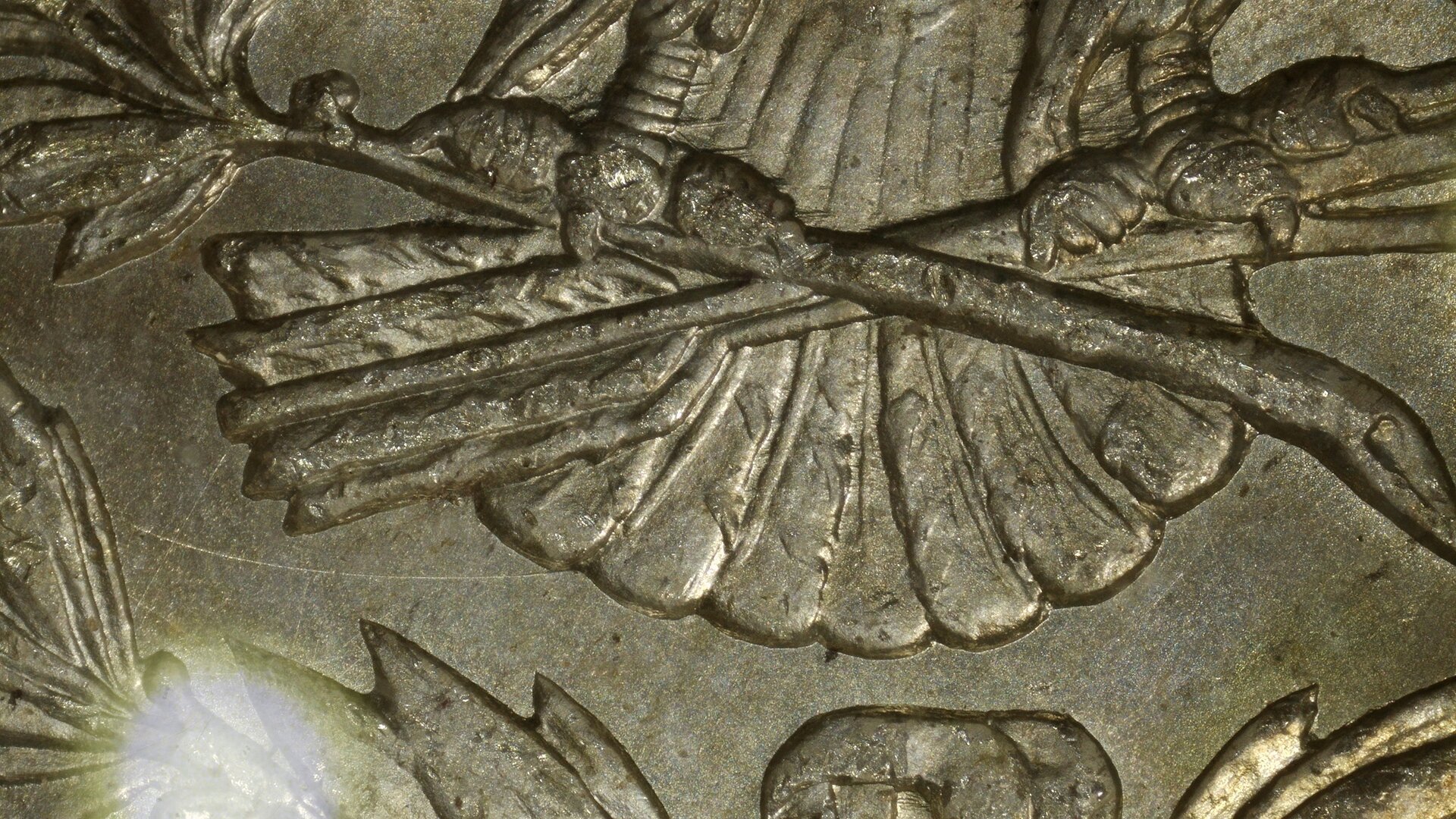 1901-O Rev 52MP Feathers Feet Polishing Lines Resized.jpg