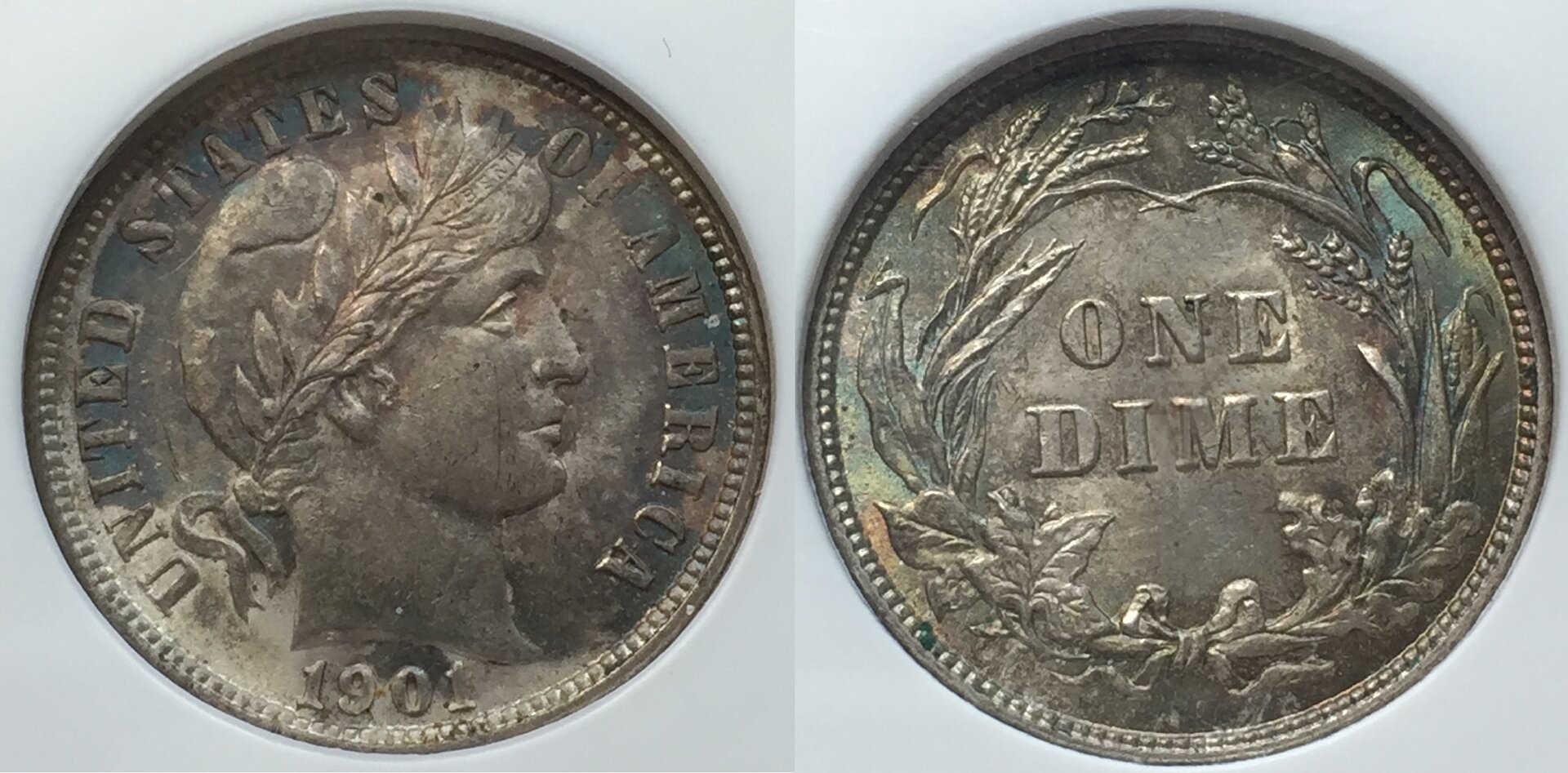 1901-P_Type3_combo2.jpg