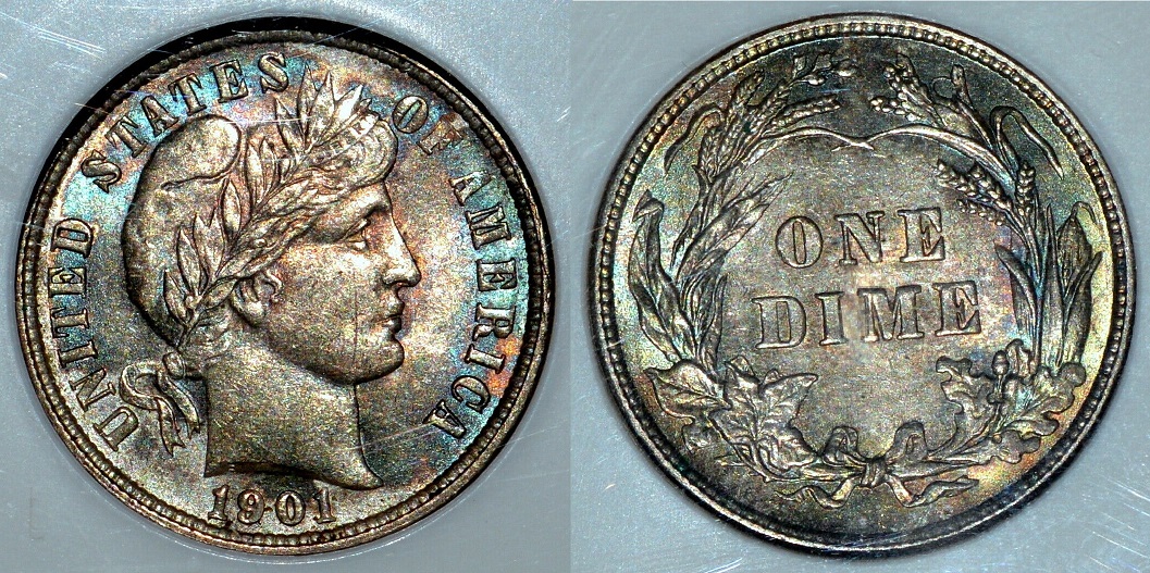 1901-P_Type3_resize.jpg