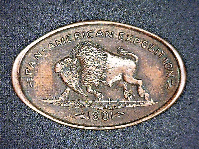 1901 Pan American buffalo.jpg