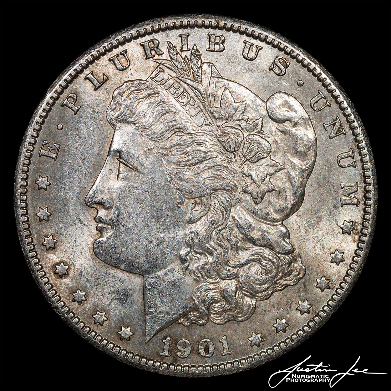 1901-S-Morgan-Dollar-Obverse.jpg