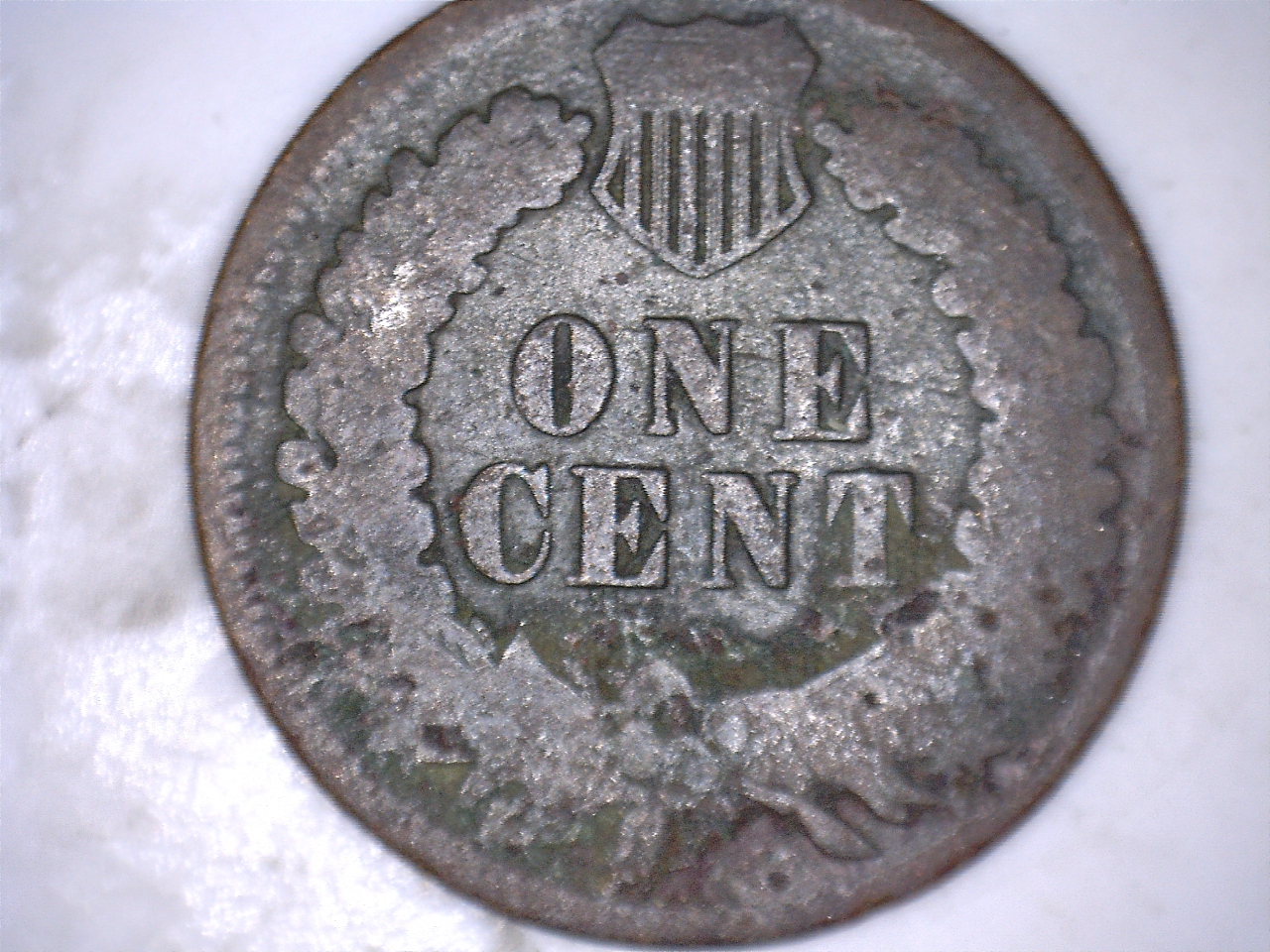 19011.jpg