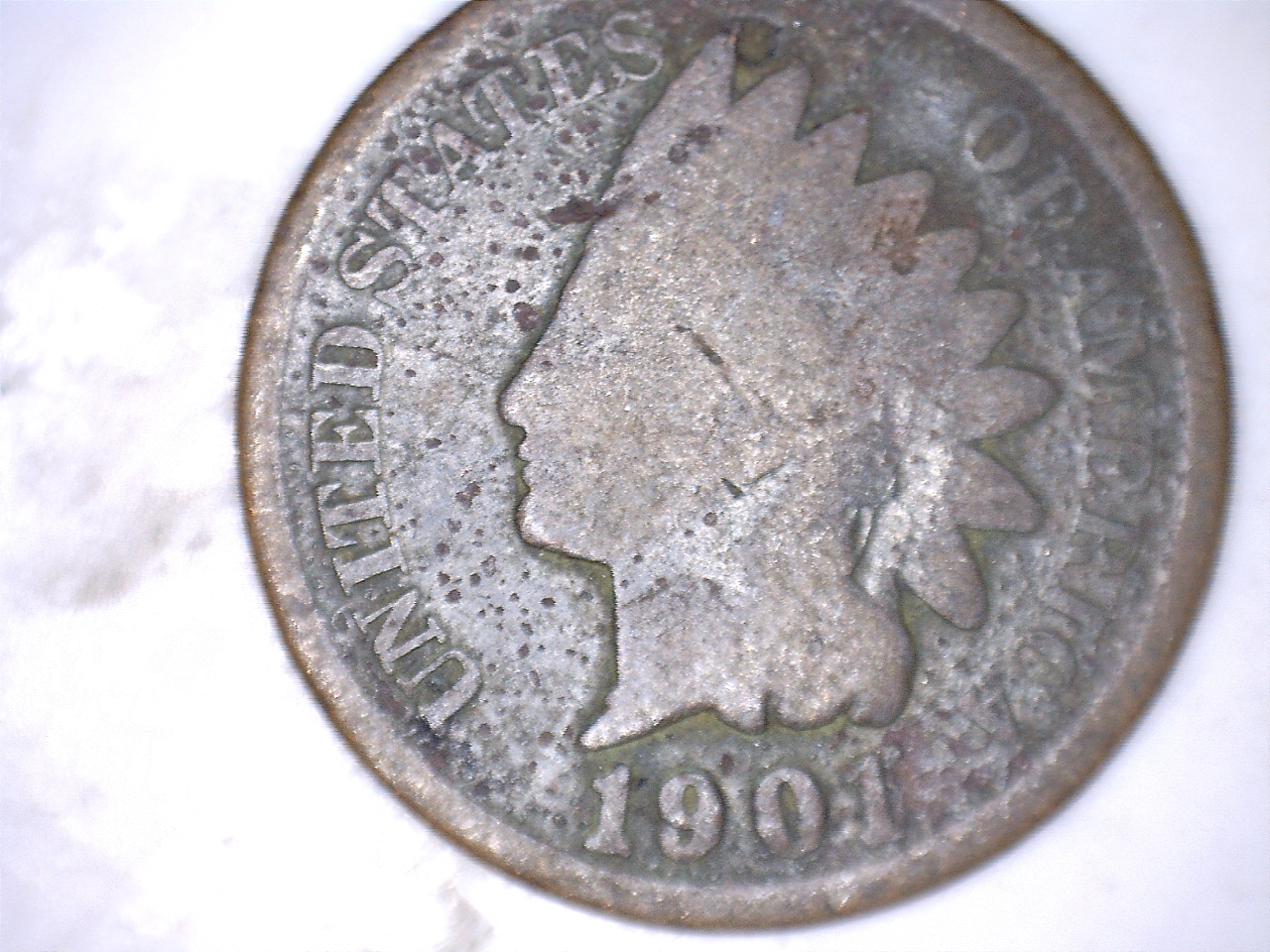 19012.jpg