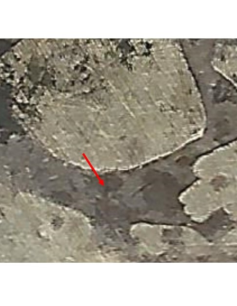 1901_s_zoom.jpg