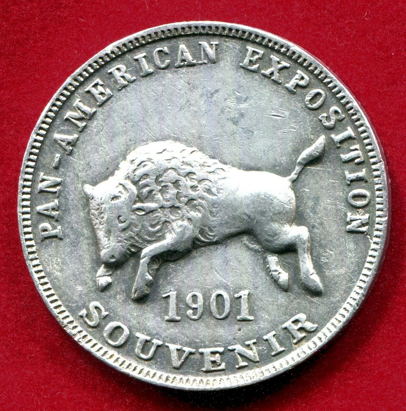 1901buffaloa.jpg