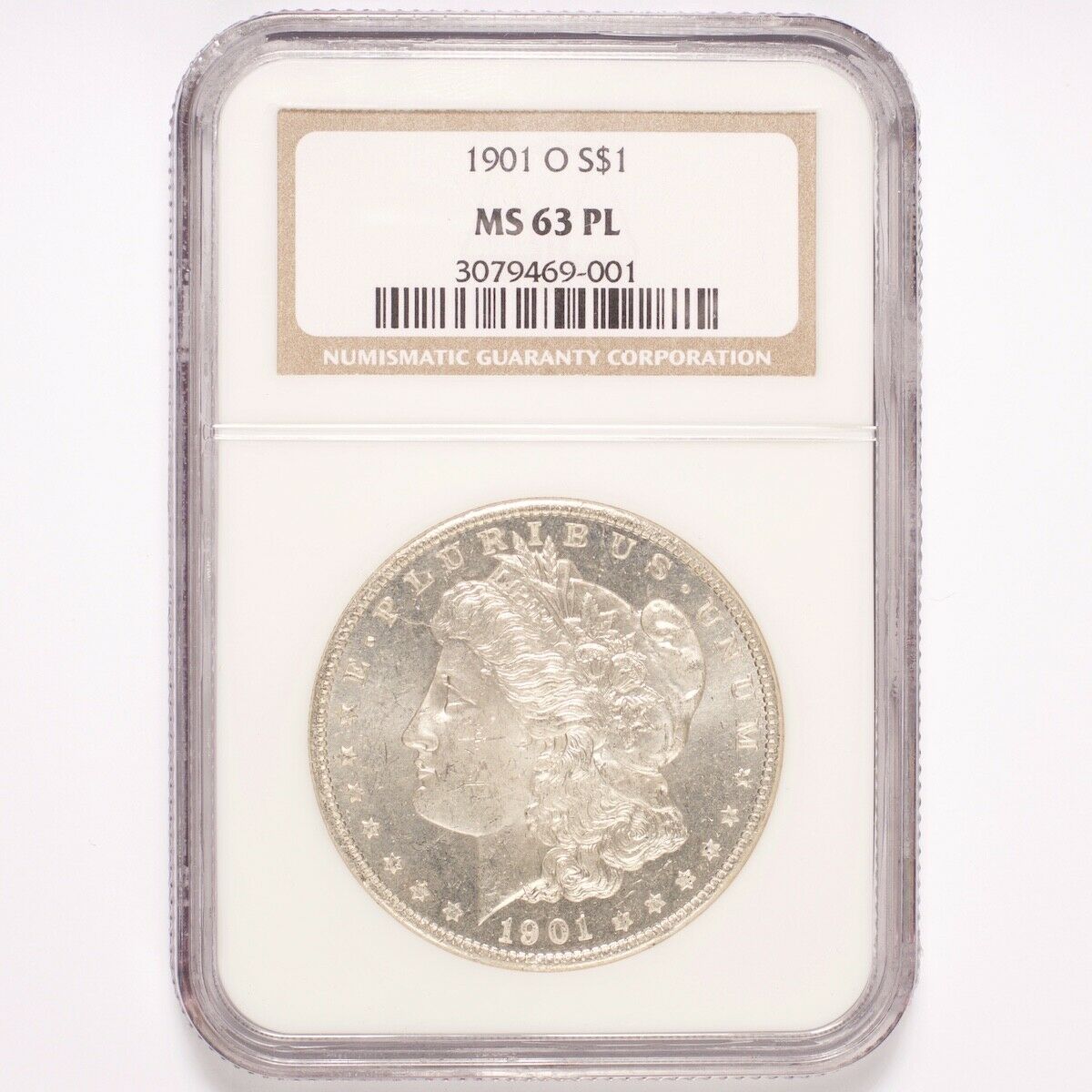 1901f.jpg