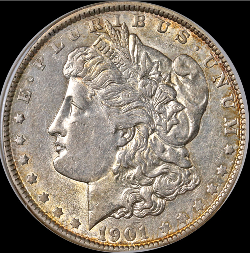 1901m.jpg