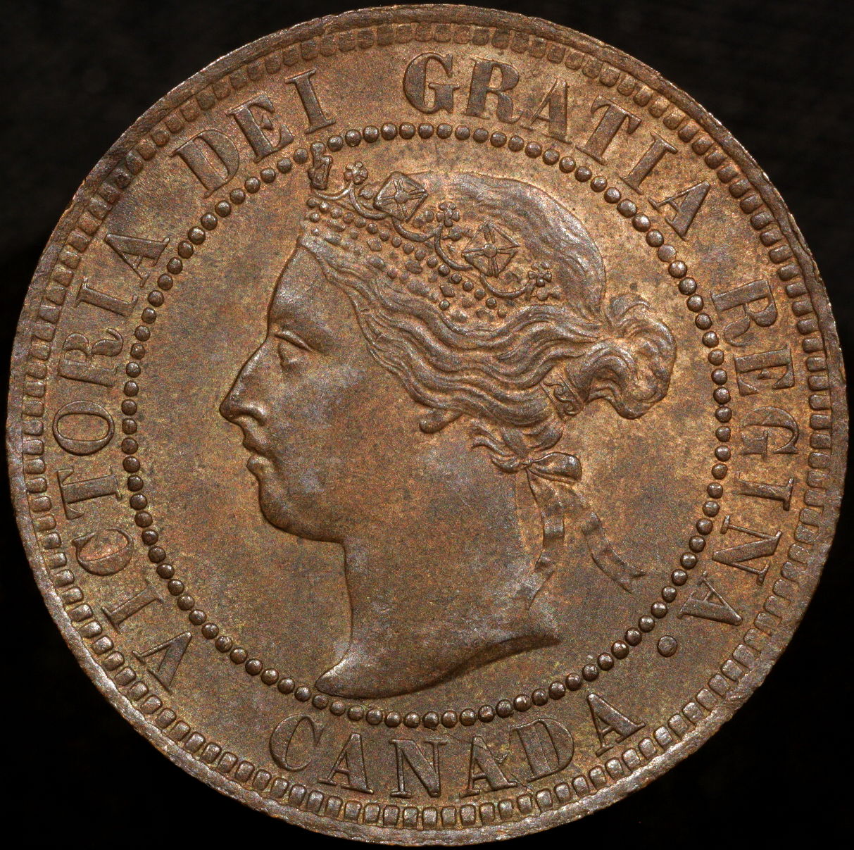 1901Obvsml.JPG