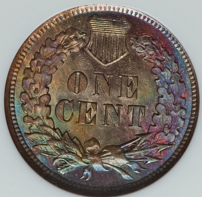 1901rev.jpg