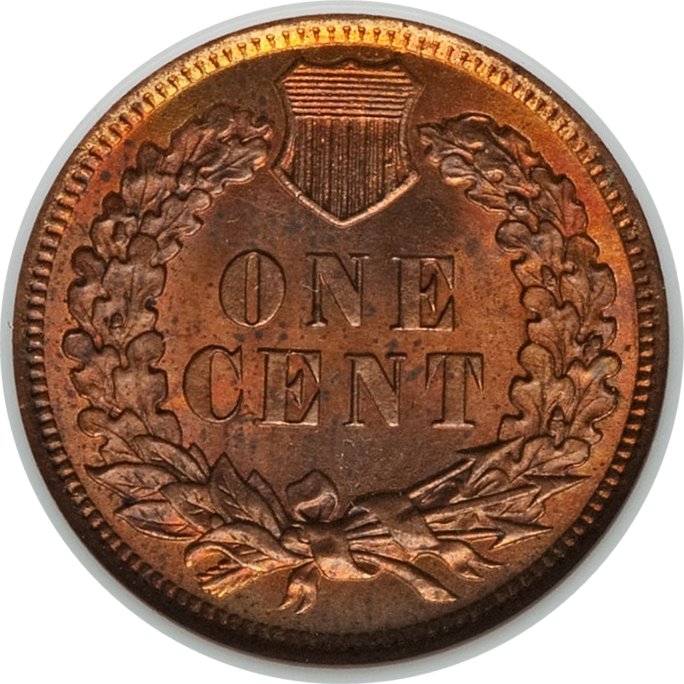 1901rev.jpg