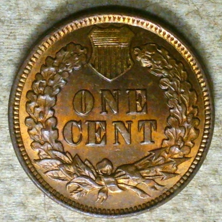 1901rev.jpg