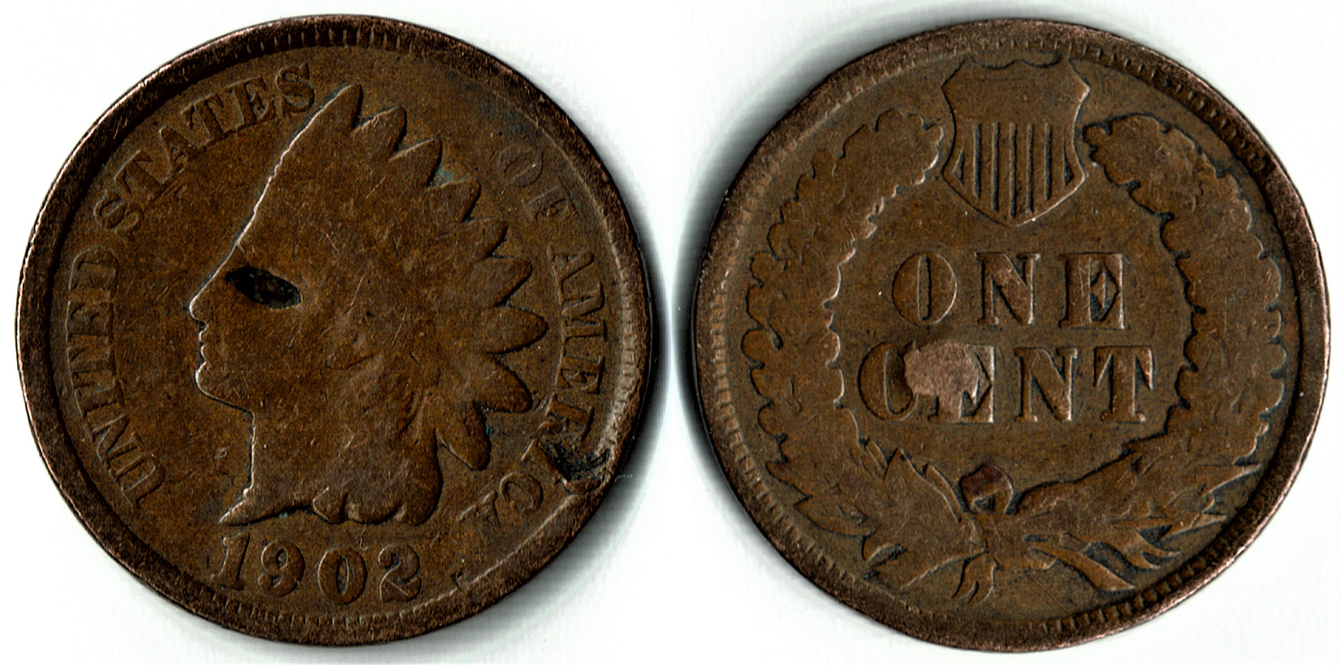 1902 Indian Head Cent Home Depot May 12th 2021 Combined.jpg