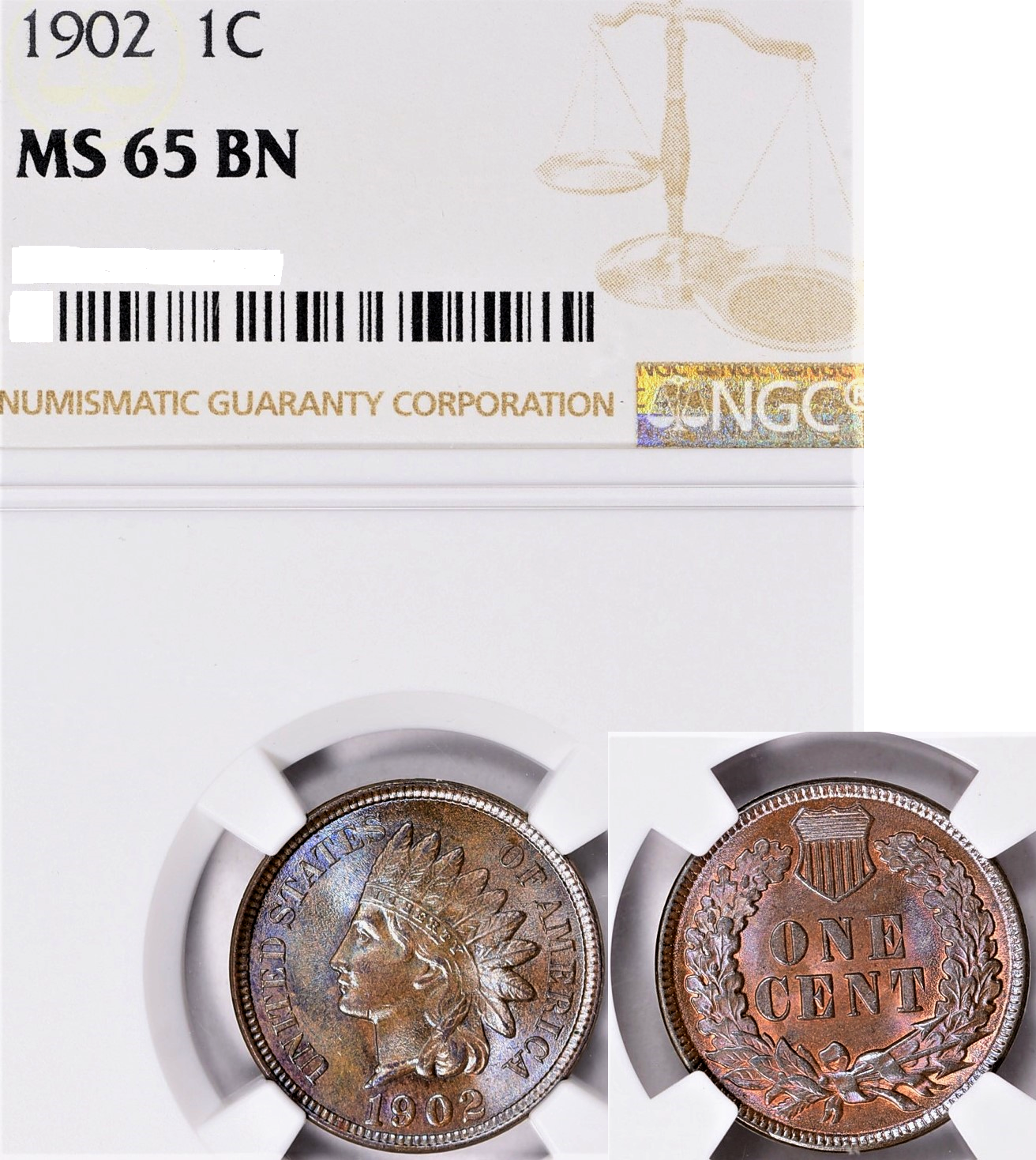 1902-NGC-MS65-BN-OBV-7-26-20 Obv PennyLady Combo.png