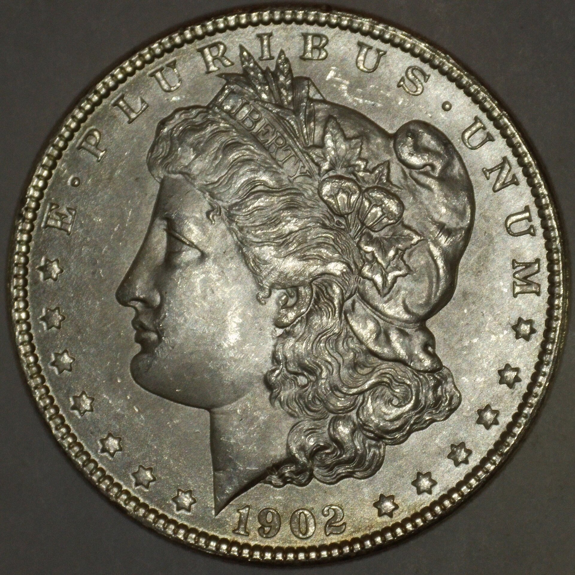 1902-O $1 Obv Resized.jpg