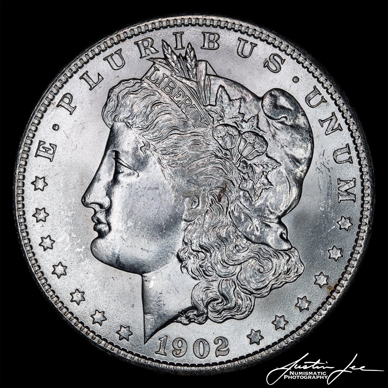 1902-O-Morgan-Dollar-Obverse.jpg