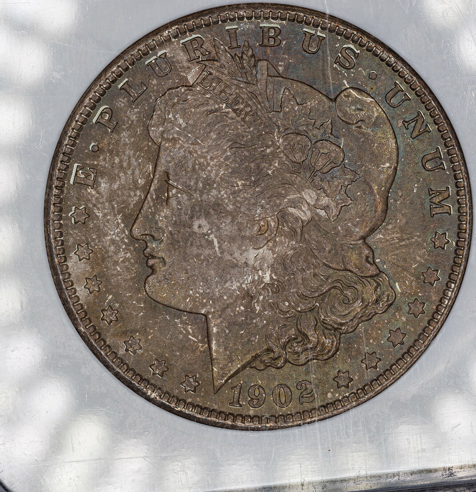 19022.jpg
