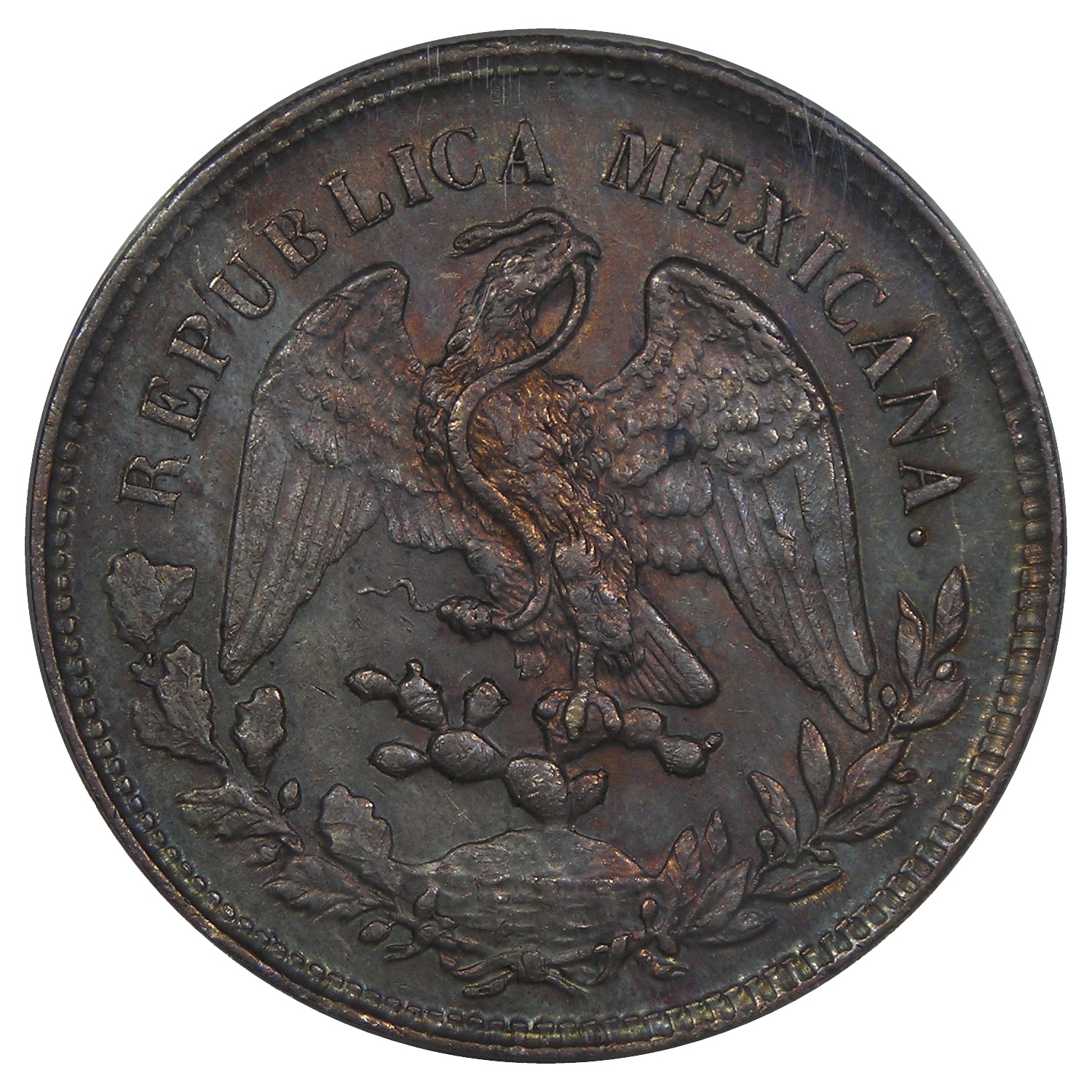 1902_8_reales_reverse.jpg