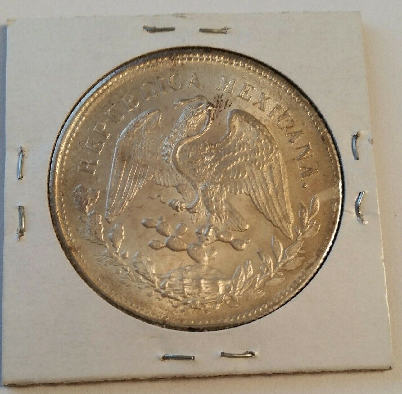 1902a.jpg