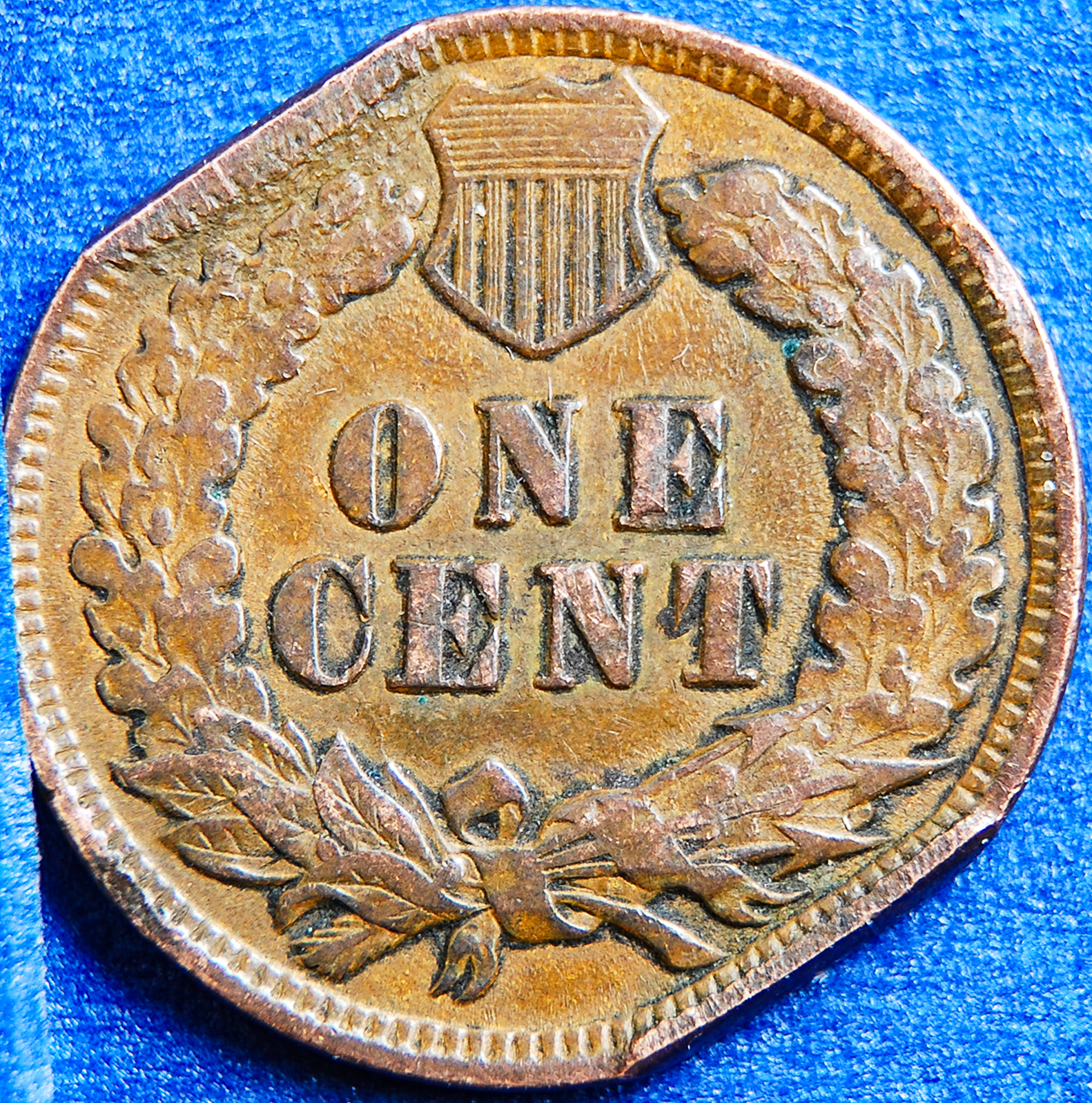 1902fullrev.jpg