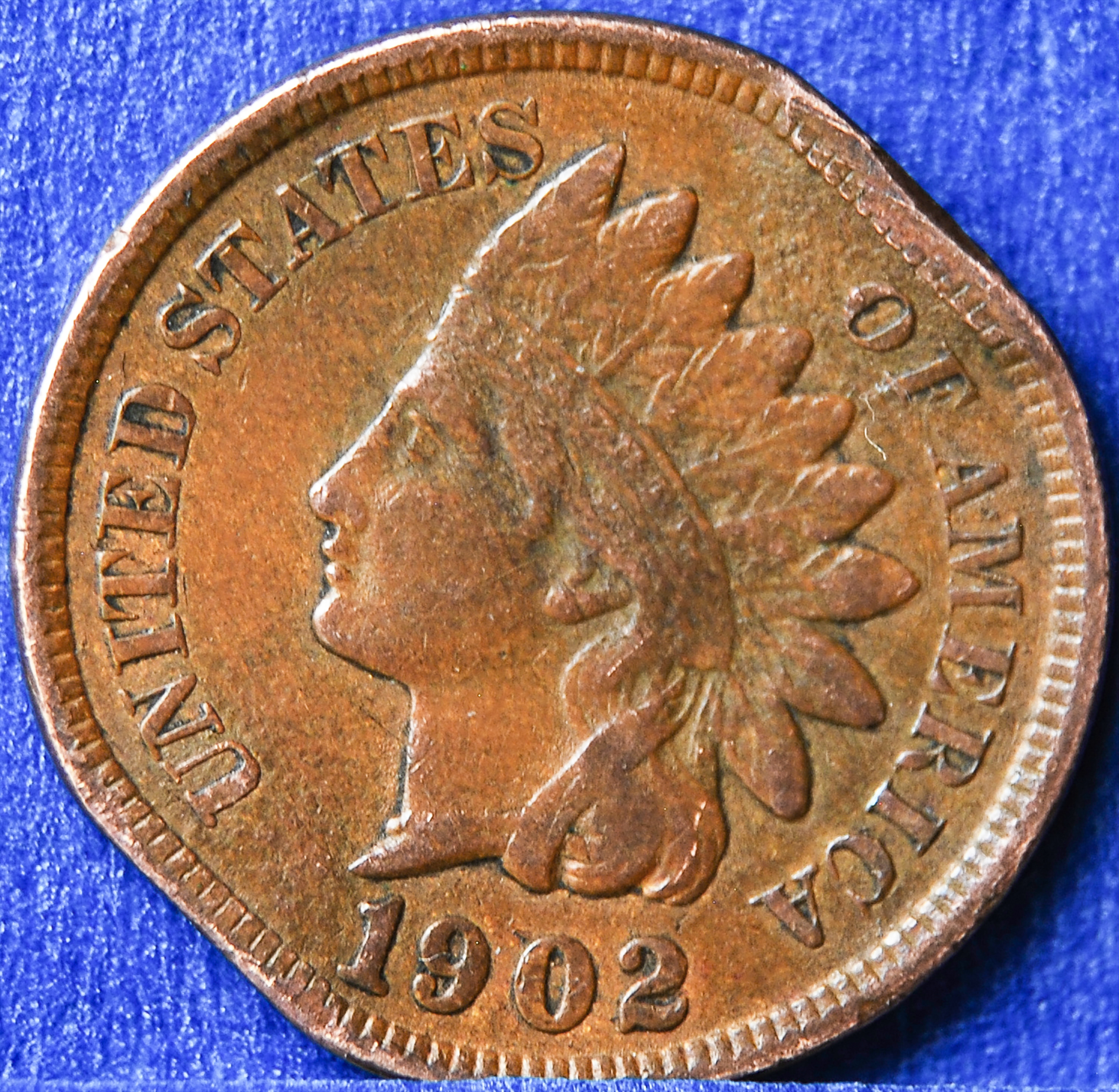 1902obverfull.jpg