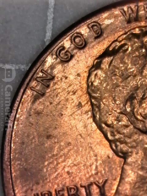 190311_184421.jpg