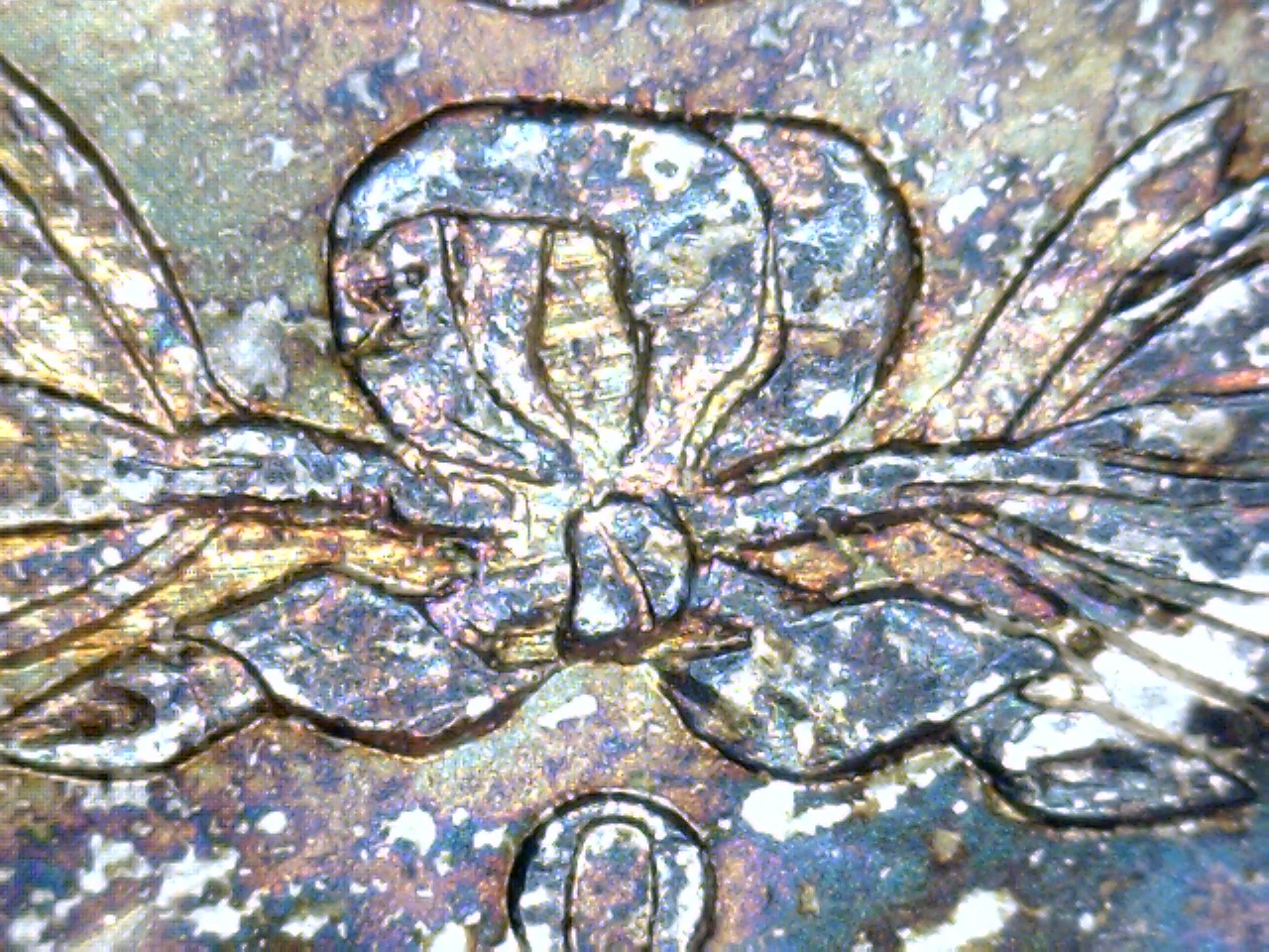 1904 O bow.jpg