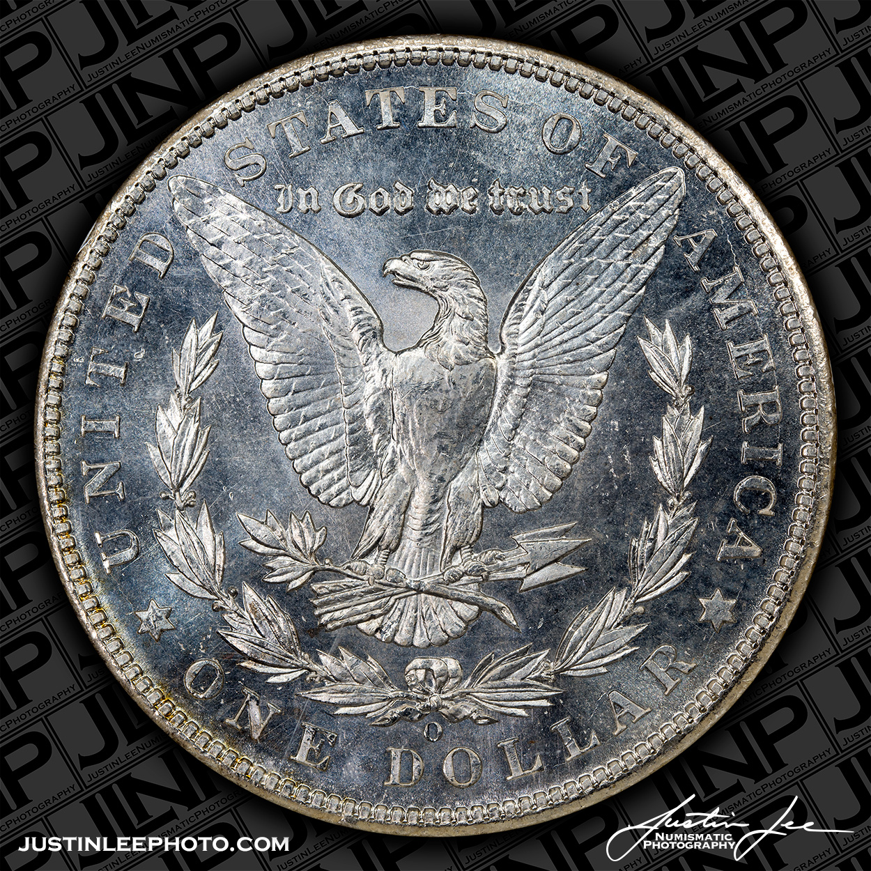 1904-O-Morgan-Dollar-Reverse-JLNP.jpg
