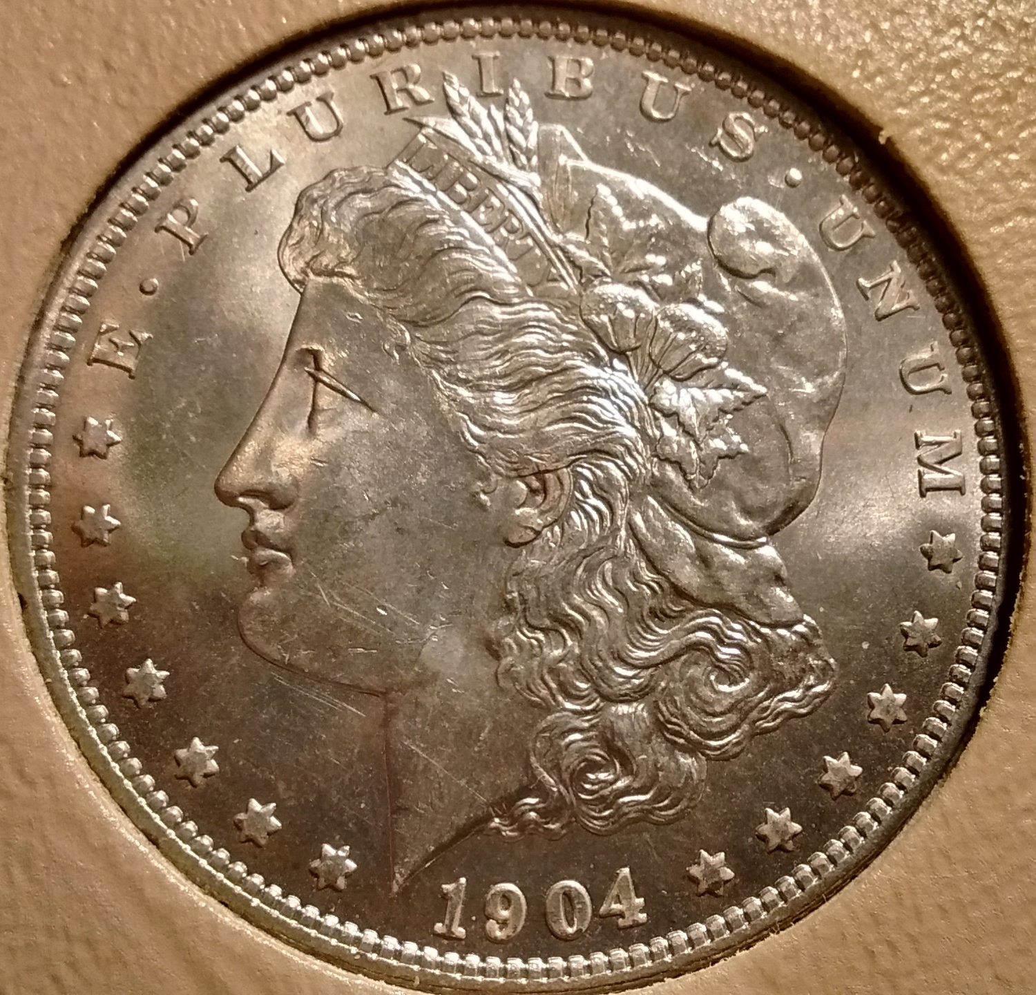 1904 o Morgan obv.jpg