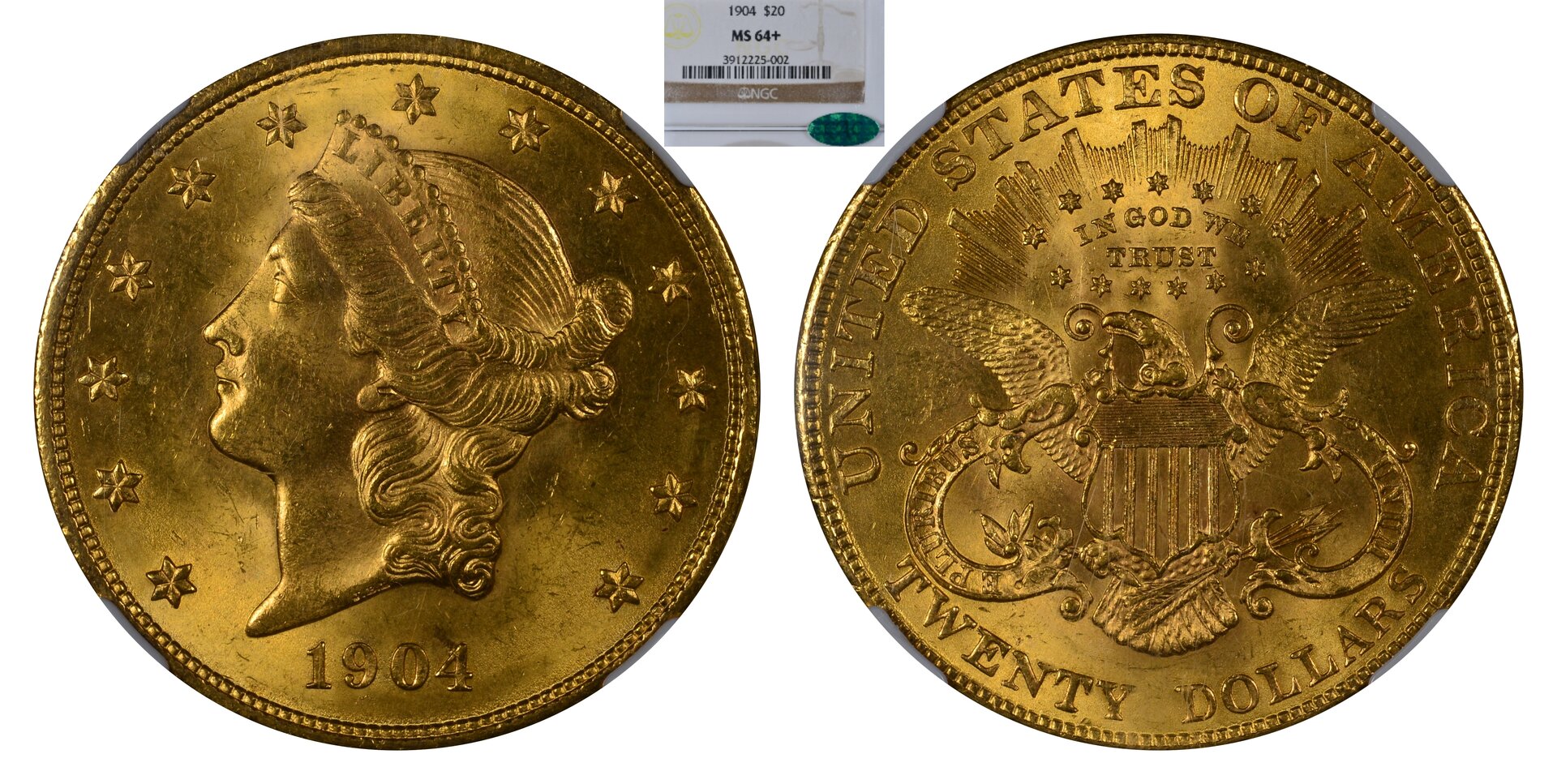 1904 Type 3 $20 Obv-Rev-side.jpg