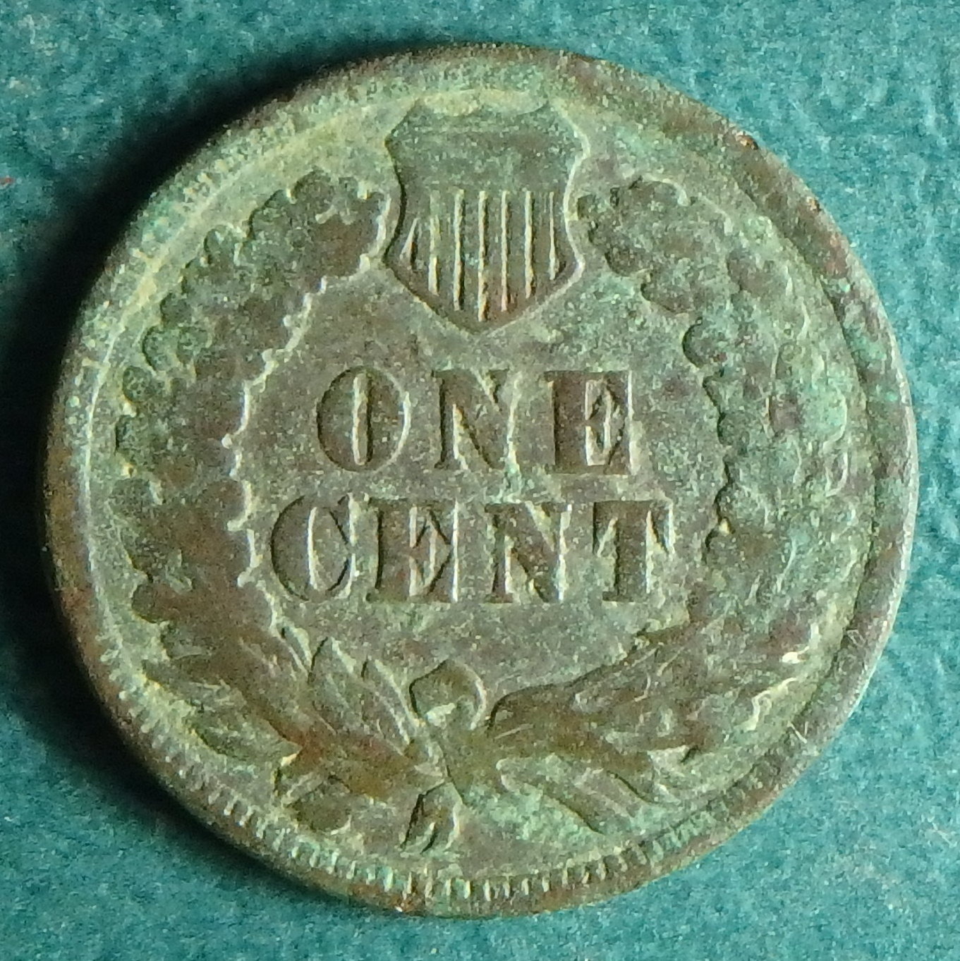 1904 US 1 c rev.JPG