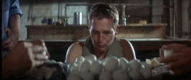 1904318541-1250675271_cool_hand_luke.gif