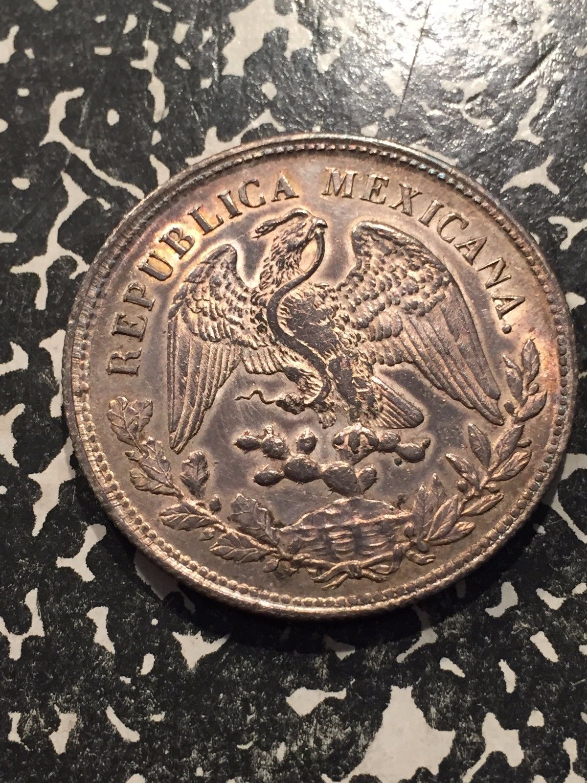 1905e1.jpg