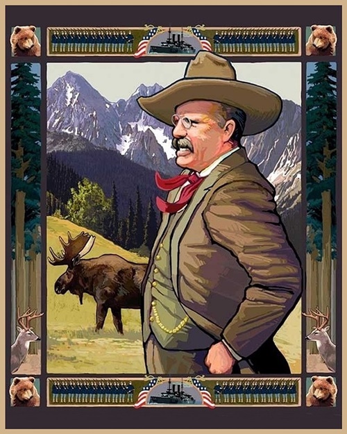 1905Presidential3inRooseveltArtworkA.jpg