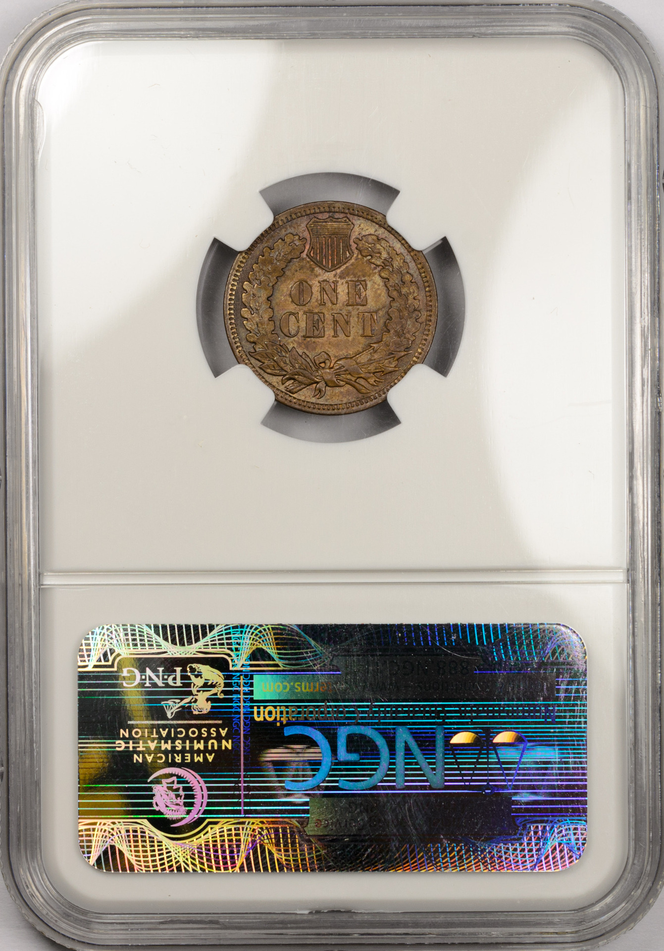 1907 1C Rev Slab MS 63 NGC BROWN 2554381-002 CAC.jpg