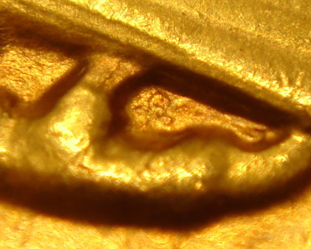 1907 Hi Relief Omaga Det.jpg