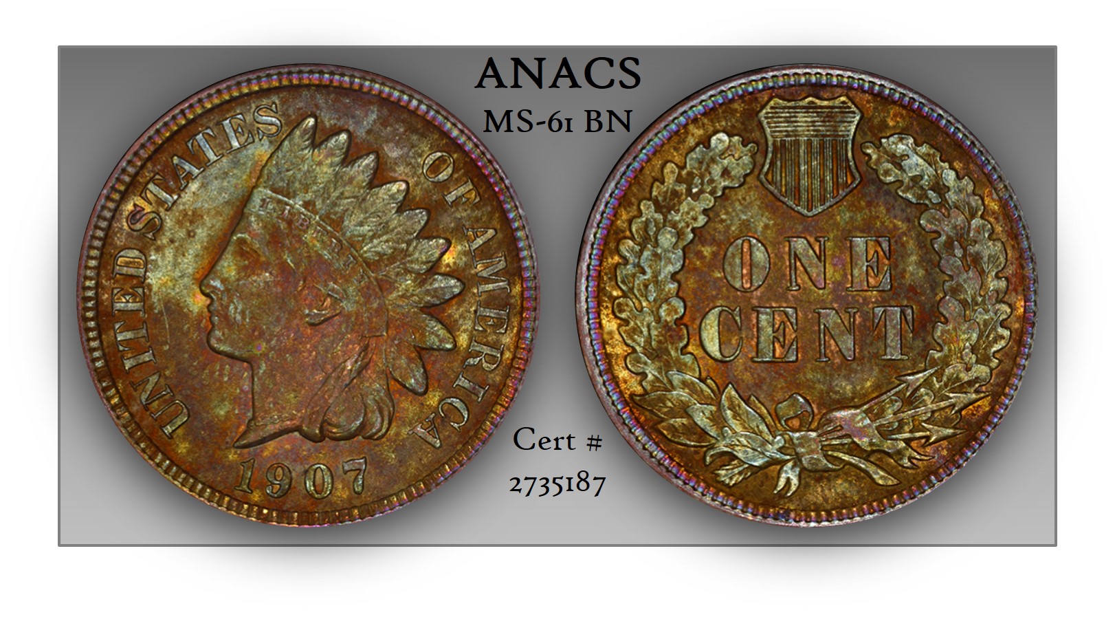 1907 Indian Head Cent FCC&C GCI Image.jpg