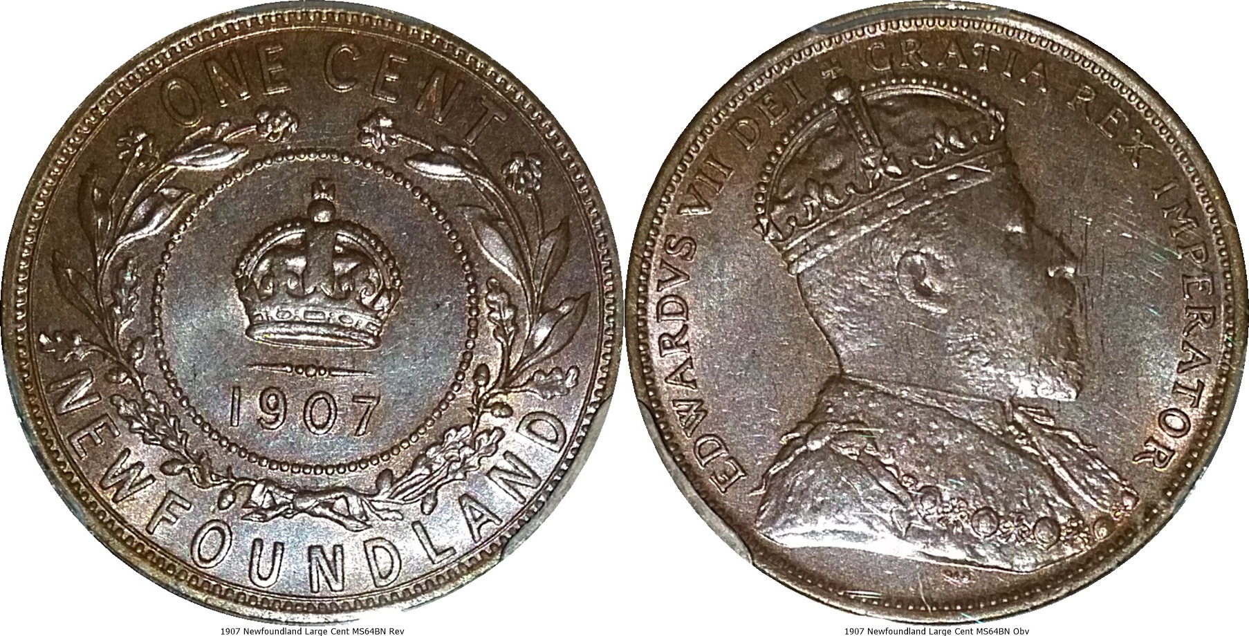 1907 Newfoundland Large Cent MS64BN.jpg