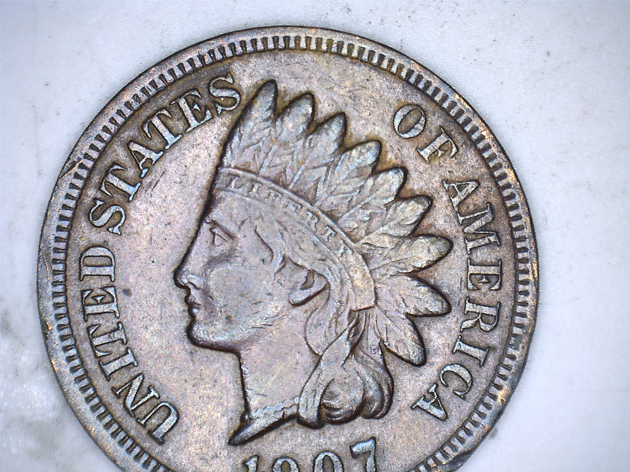 19071.jpg