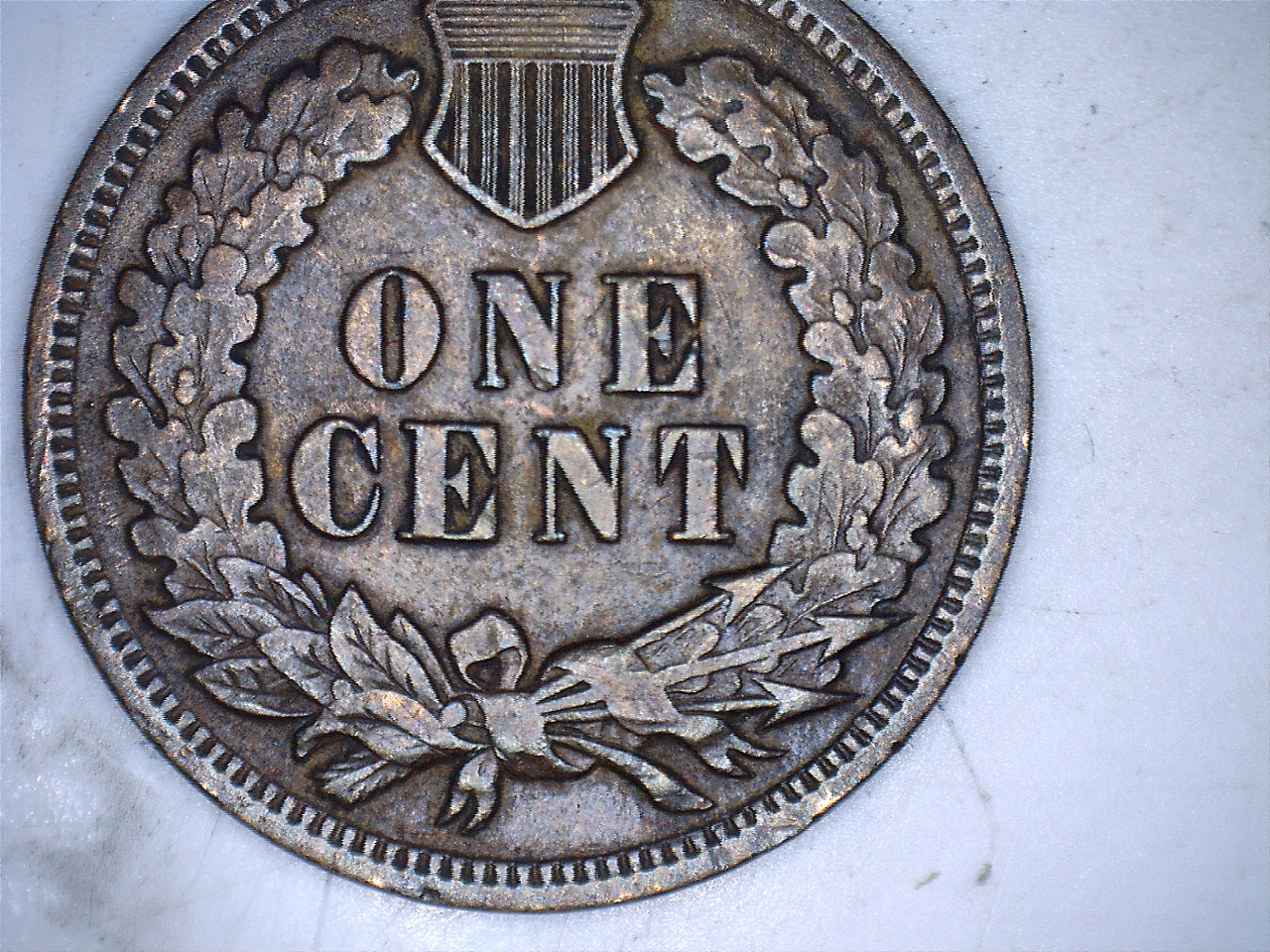 19074.jpg