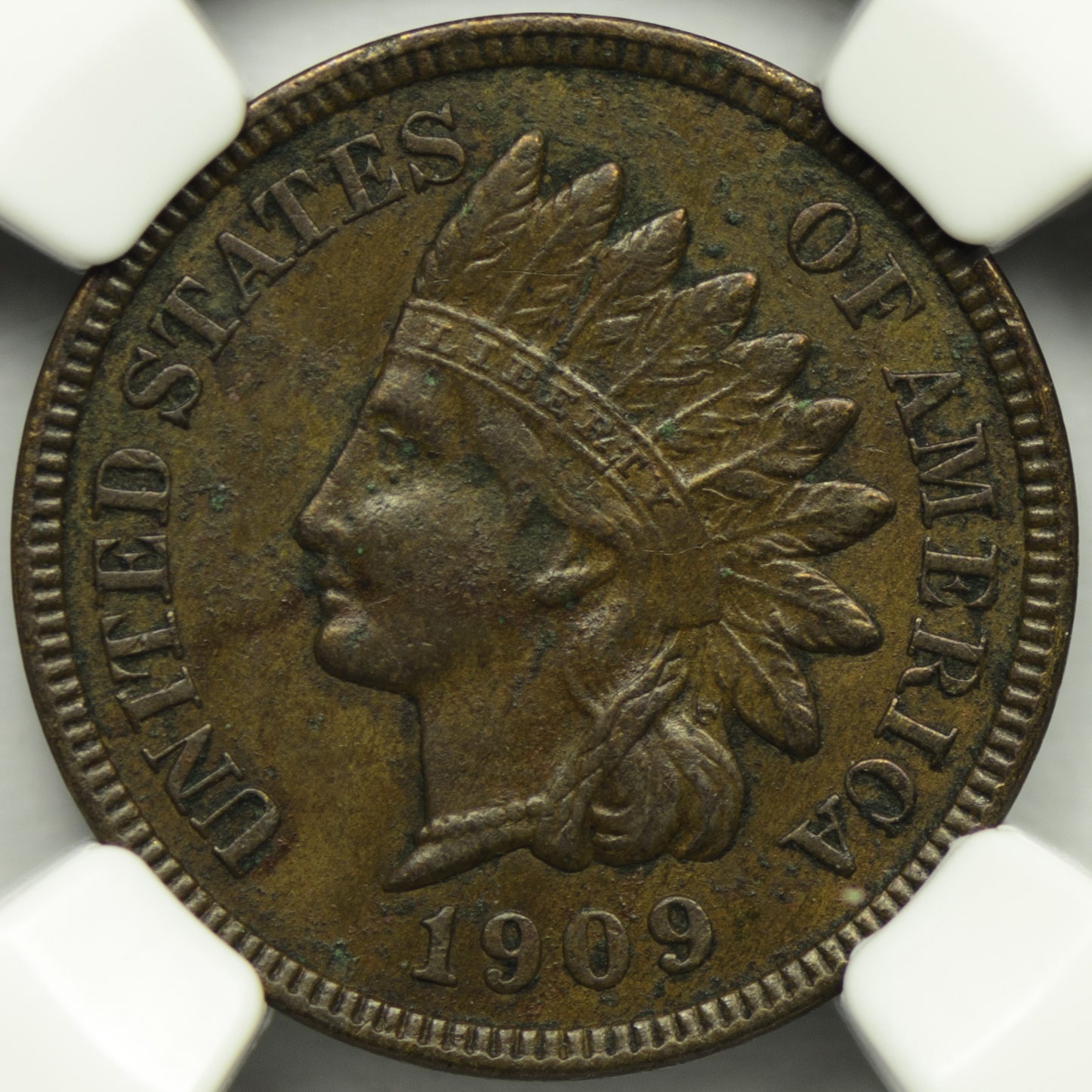 1909 CENT - INDIAN HEAD, BRONZE NGC MS 50 INDIAN, AU DETAILS, BROWN Obv Closeup.jpg