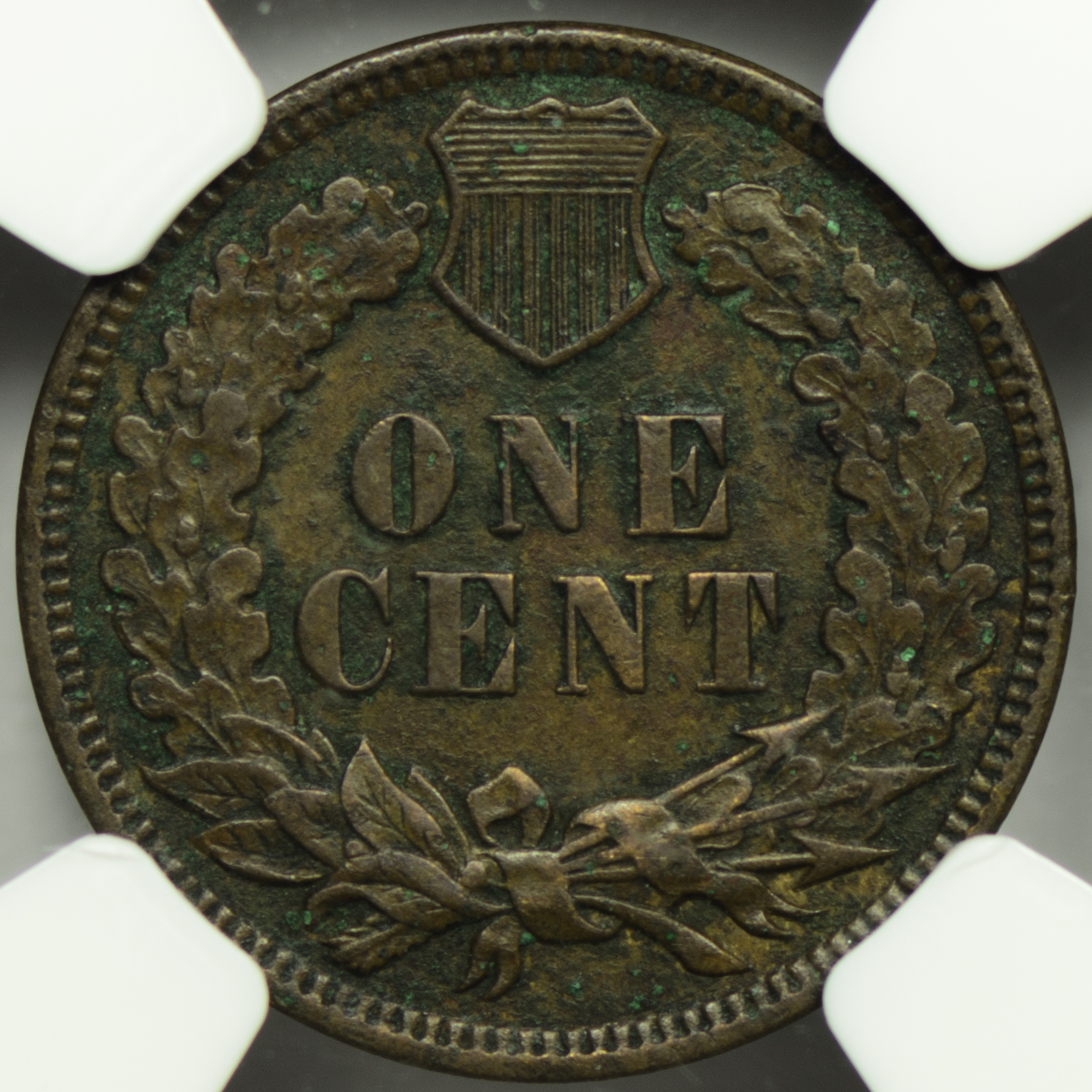 1909 CENT - INDIAN HEAD, BRONZE NGC MS 50 INDIAN, AU DETAILS, BROWN Rev Closeup.jpg