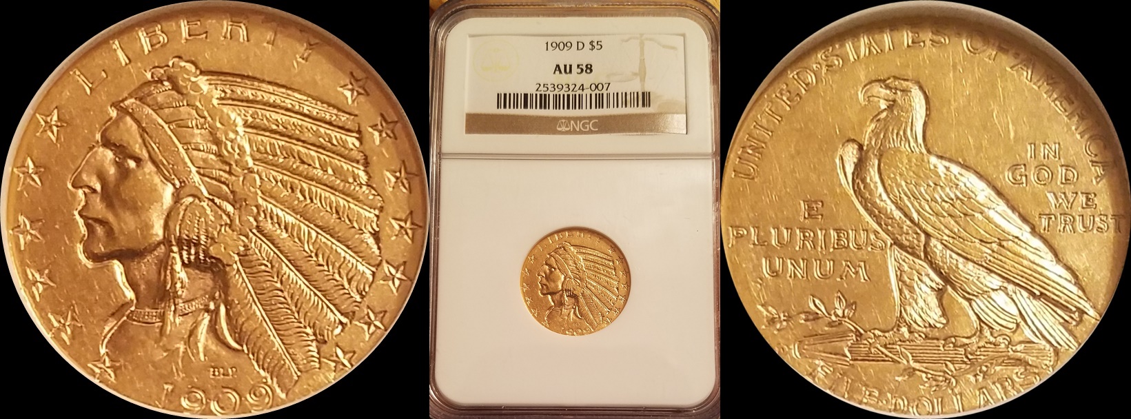 1909 D $5 1xa-horz.jpg