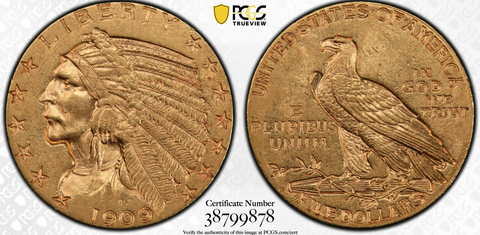 1909-D $5 PCGS AU58 Gold Indian.png
