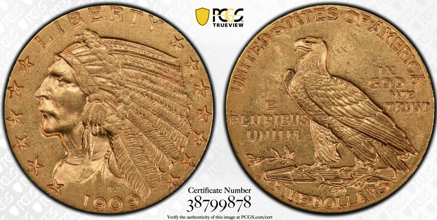 1909-D Gold $5 Trueview.png