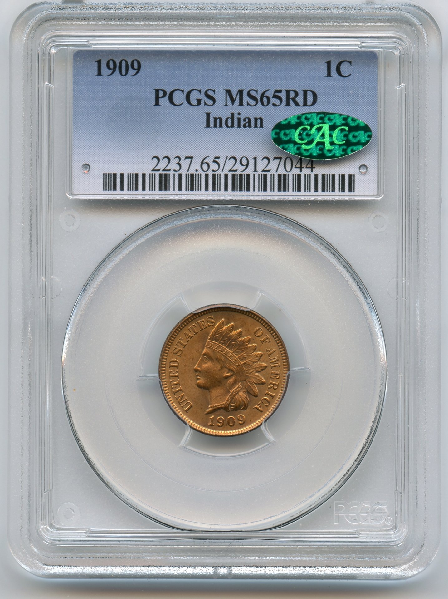 1909 Indian Head Cent Obv.jpg