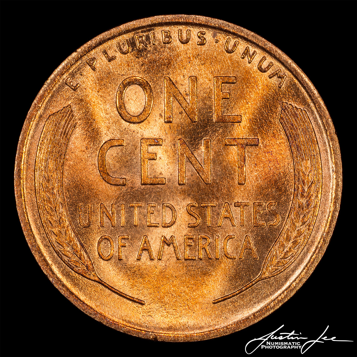 1909-Lincoln-Cent-Reverse.jpg